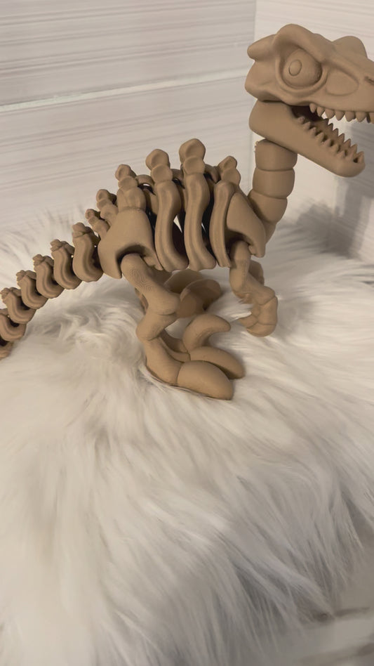 Articulated Dinosaur Bones